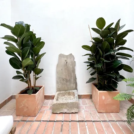 Arcos De Medina - Premium Lägenhet *