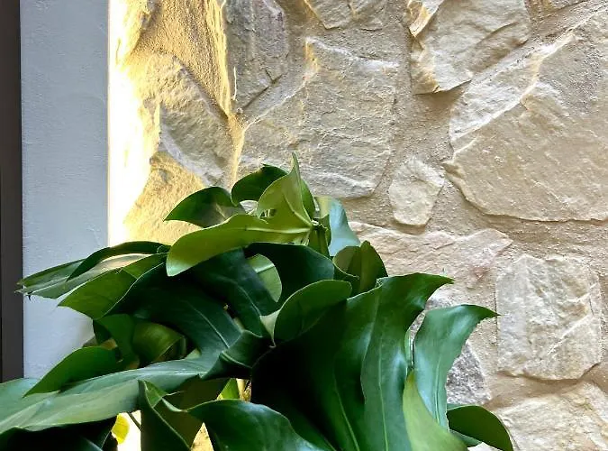 Arcos De Medina - Premium * Córdoba