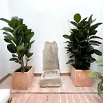 Arcos De Medina - Premium Διαμέρισμα *