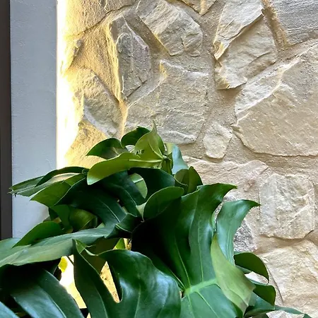 Arcos De Medina - Premium * Кордова