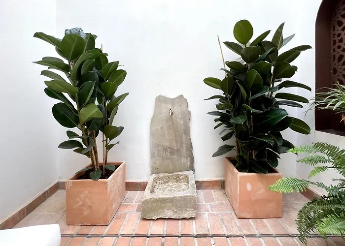 Arcos De Medina - Premium Apartament *